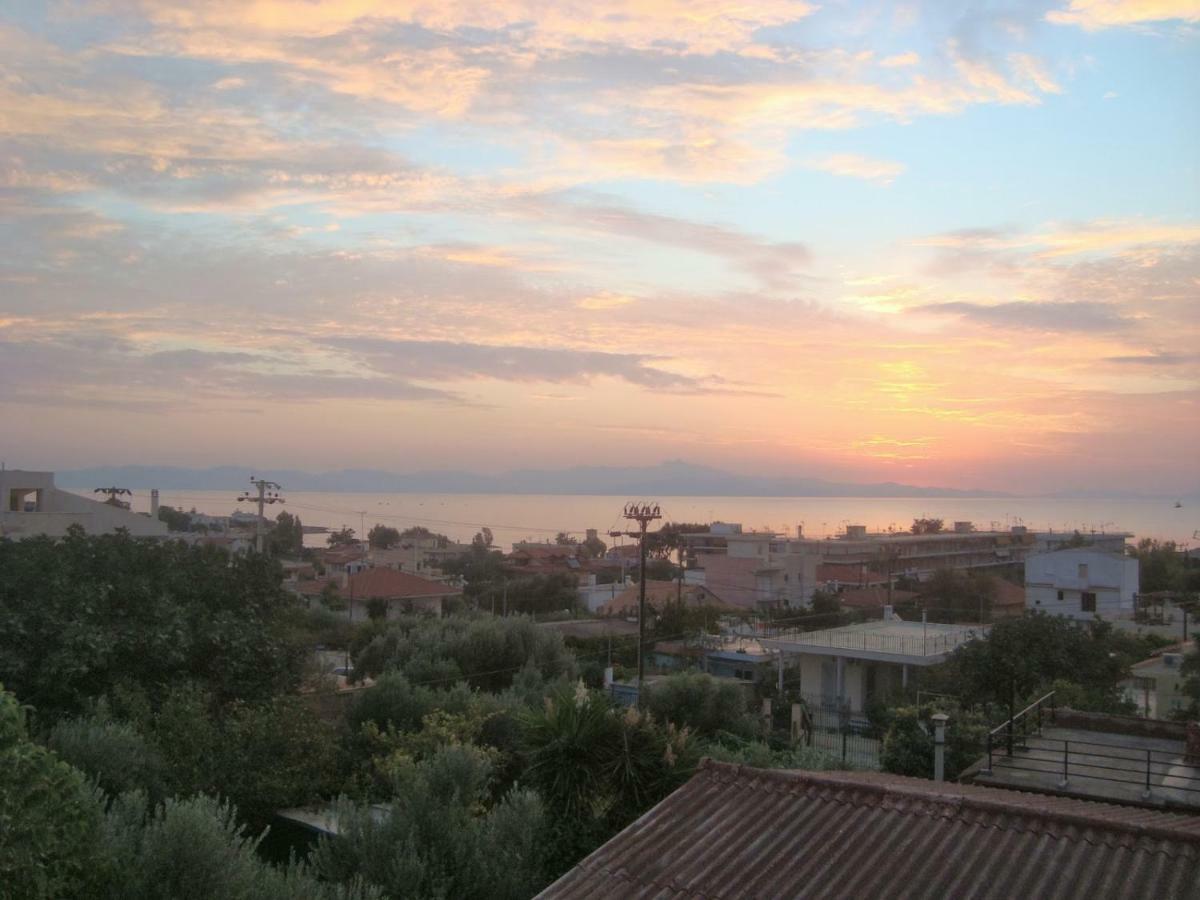 Smile House Near Athens Airport 300M From The Sea Villa Artemida  Esterno foto