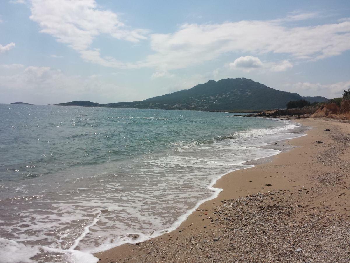 Smile House Near Athens Airport 300M From The Sea Villa Artemida  Esterno foto