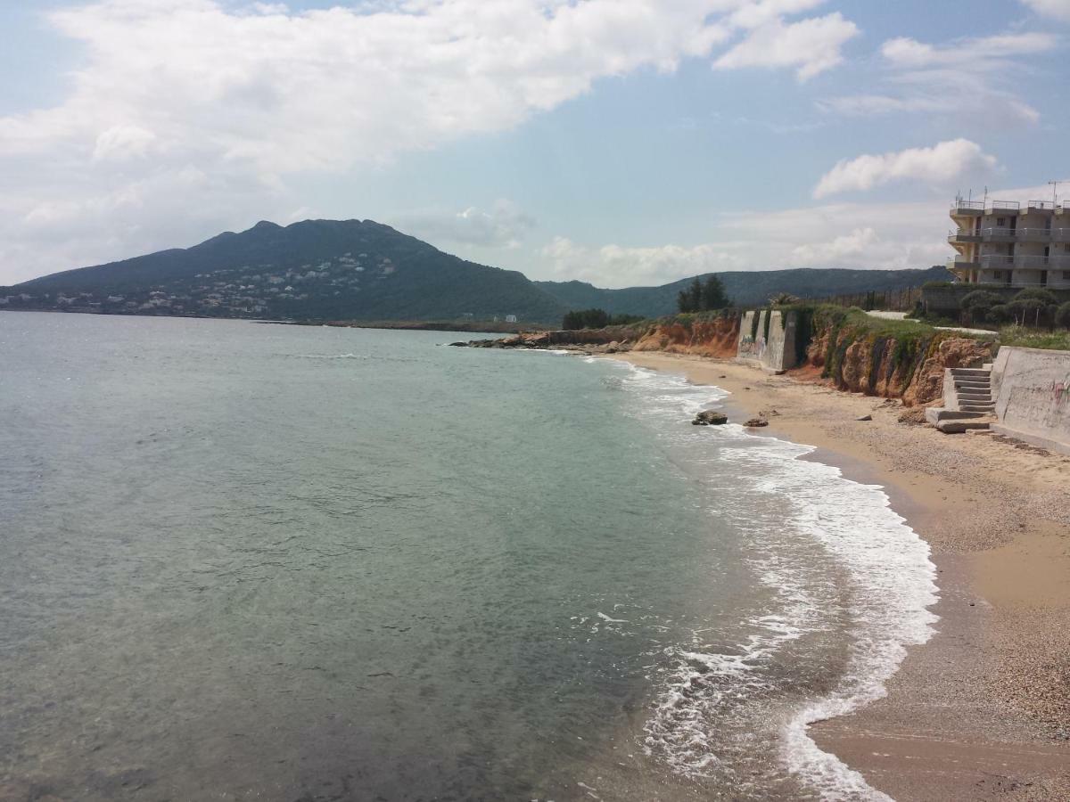 Smile House Near Athens Airport 300M From The Sea Villa Artemida  Esterno foto