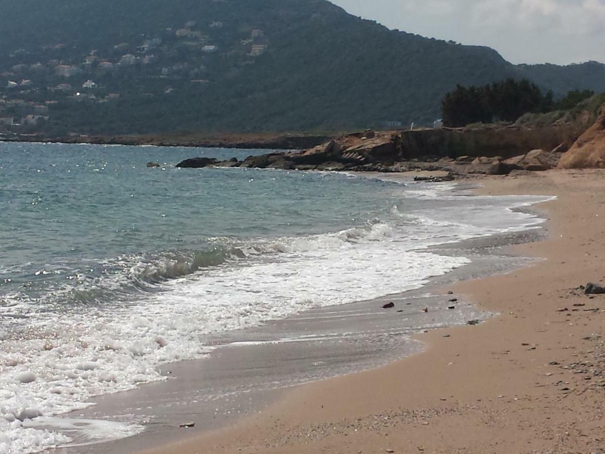 Smile House Near Athens Airport 300M From The Sea Villa Artemida  Esterno foto